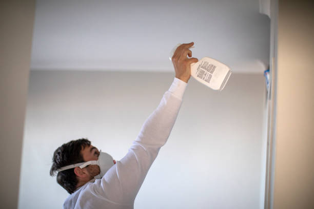 Best Toxic Mold Removal  in Taft, CA