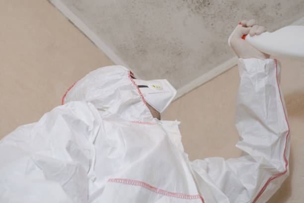 Best Same-Day Mold Removal  in Taft, CA