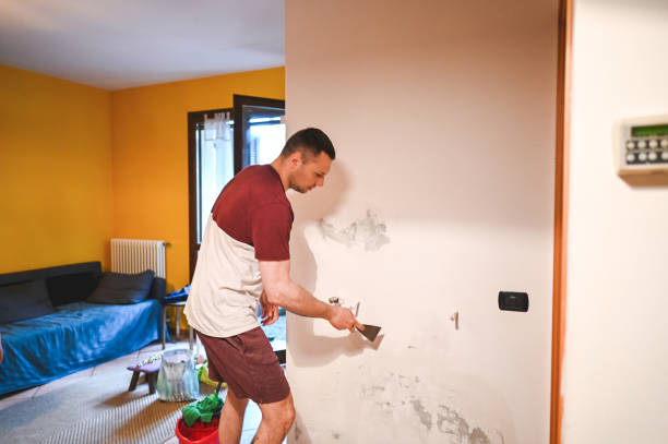 Best Local Mold Removal Service  in Taft, CA