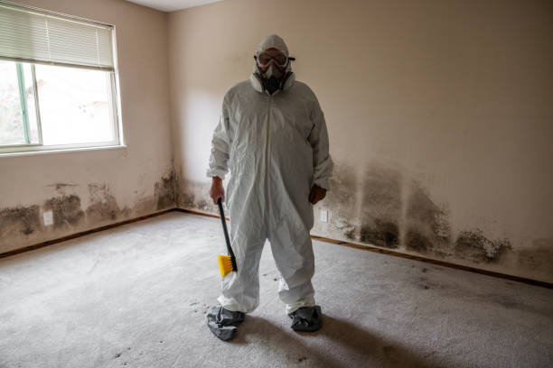 Best Attic Mold Removal  in Taft, CA